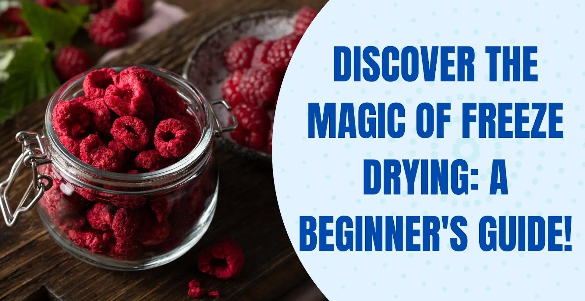 Discover the Magic of Freeze Drying: A Beginner's Guide!