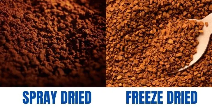 Spray Dried vs Freeze Dried Coffee Appearance