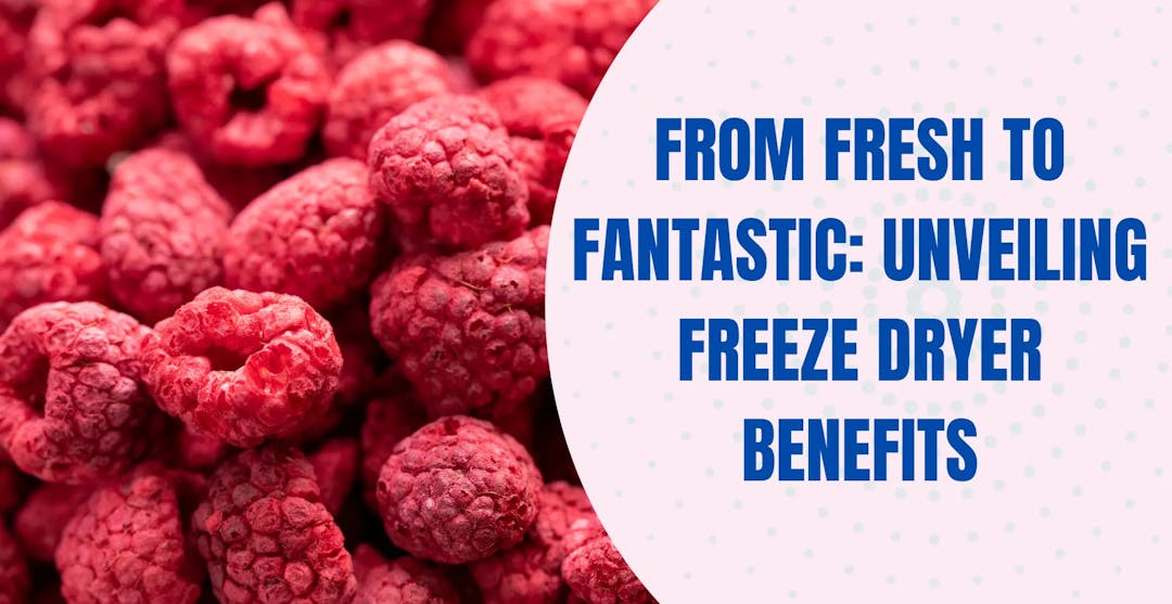 Advantages of Freeze Dryers: Preserving Nature's Goodness