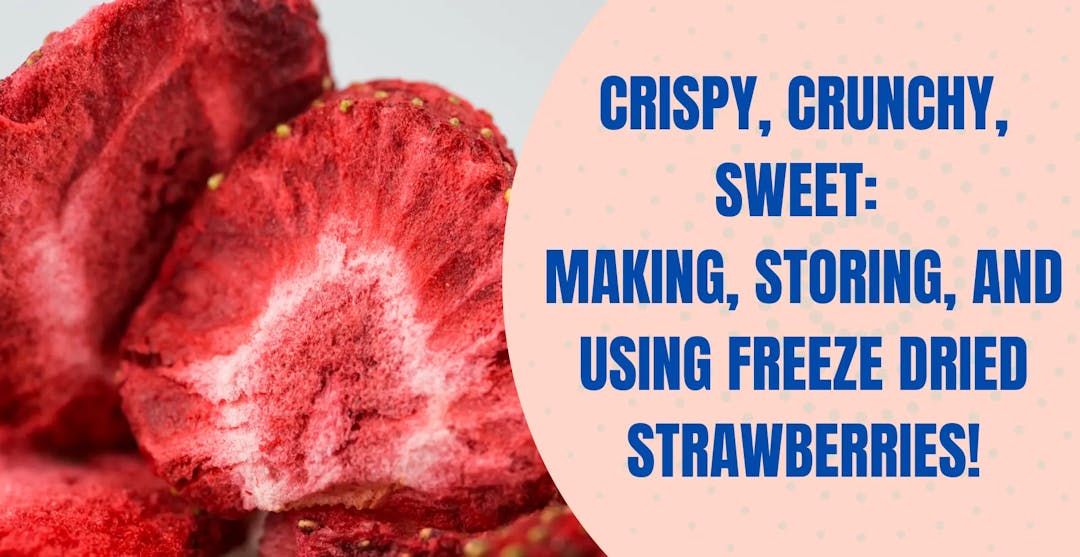 Freeze Dried Strawberries: How to Make & Use