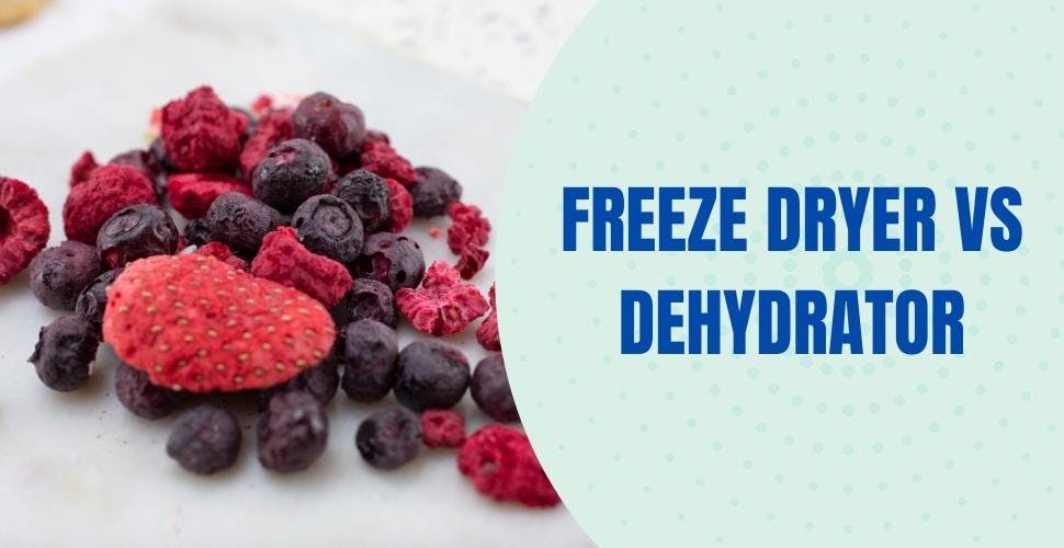 Freeze Dryer vs Dehydrator