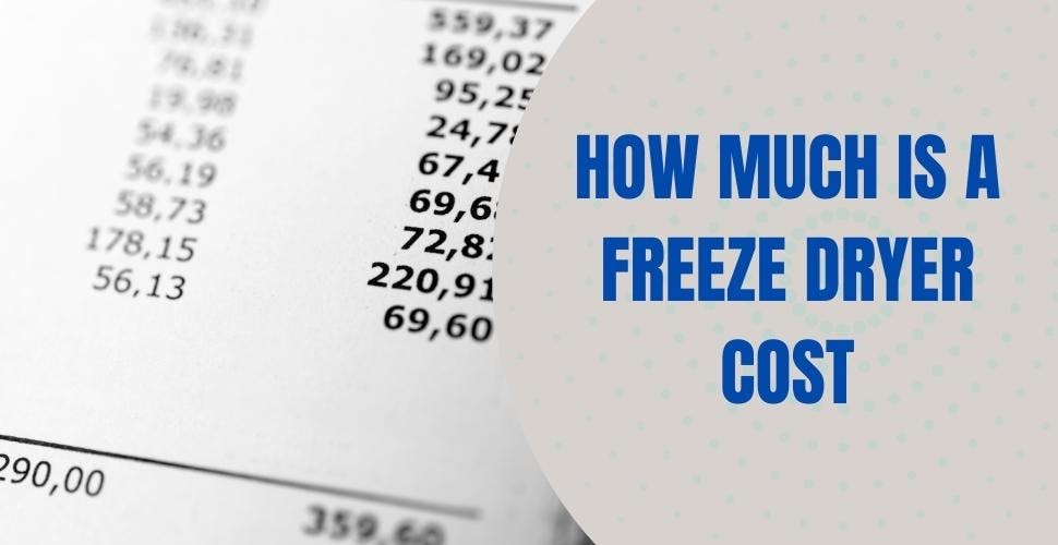 How Much is a Freeze Dryer Cost