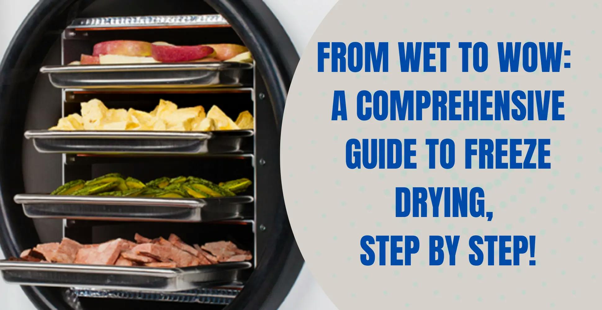 Step-by-Step Guide to Freeze Drying