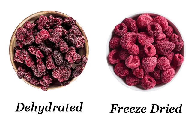 Freeze Dryer vs Dehydrator: Effect on Shape